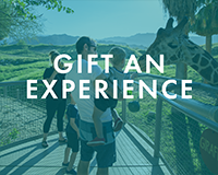 gift an experience