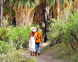 couple hiking through lush canyons in greater palm springs